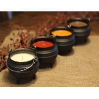 Cauldron Candle - Spruce and Pine
