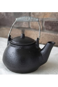 Cast Iron Tea Kettle