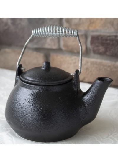 Cast Iron Tea Kettle